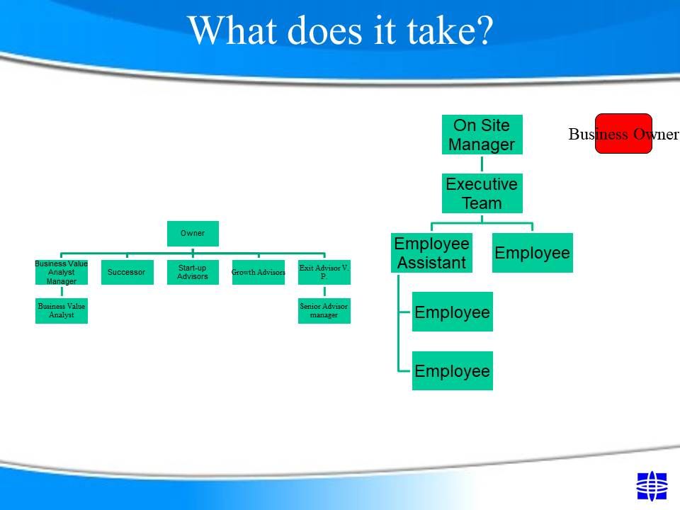 Ideal Organization Model